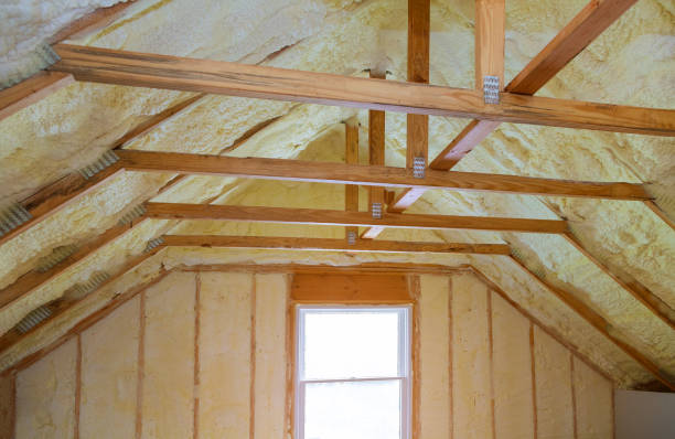 Best Eco-Friendly Insulation in Winnebago, MN