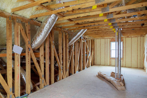 Best Insulation Maintenance and Repair in Winnebago, MN