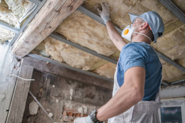 Types of Insulation We Offer in Winnebago, MN